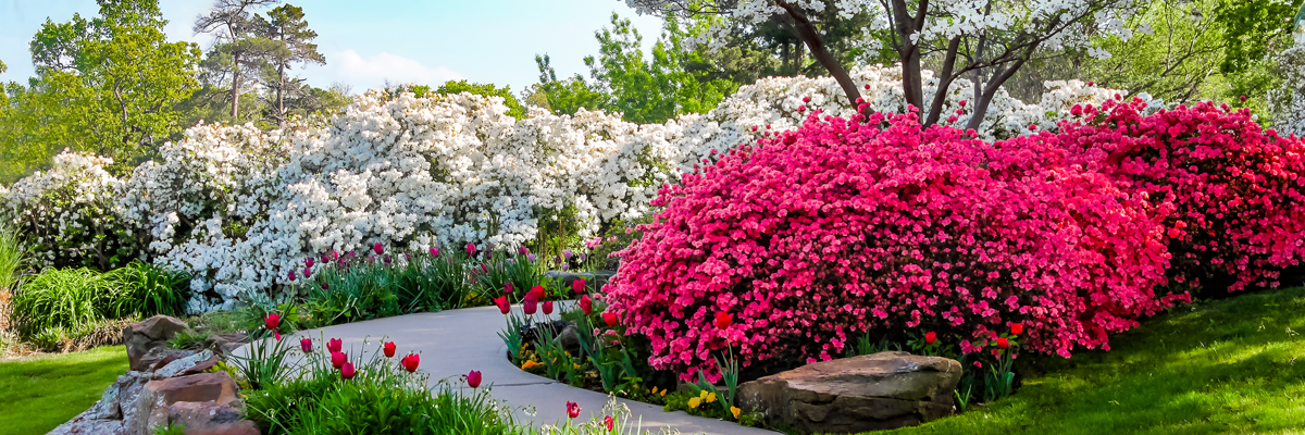 golf course clubhouse lawn landscape area